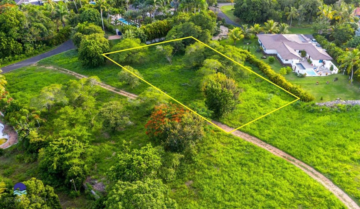 Lush greenery surrounding the Casa de Campo plot