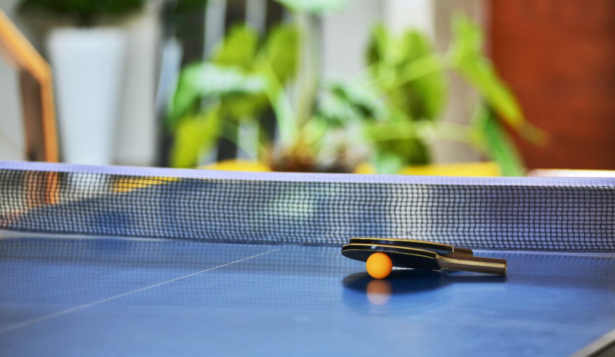 Ping Pong min